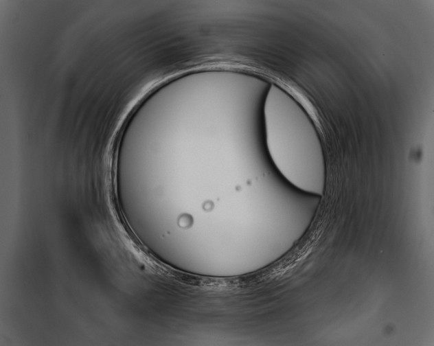 X0000100921099200806241107