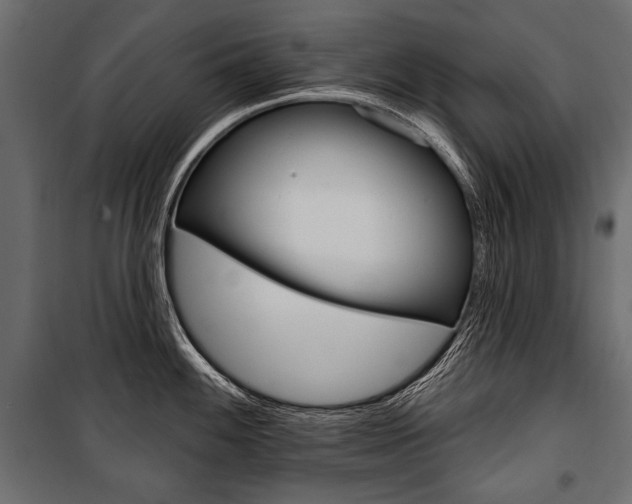 X0000100921100200806241107