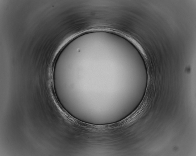 X0000100921101200806241107