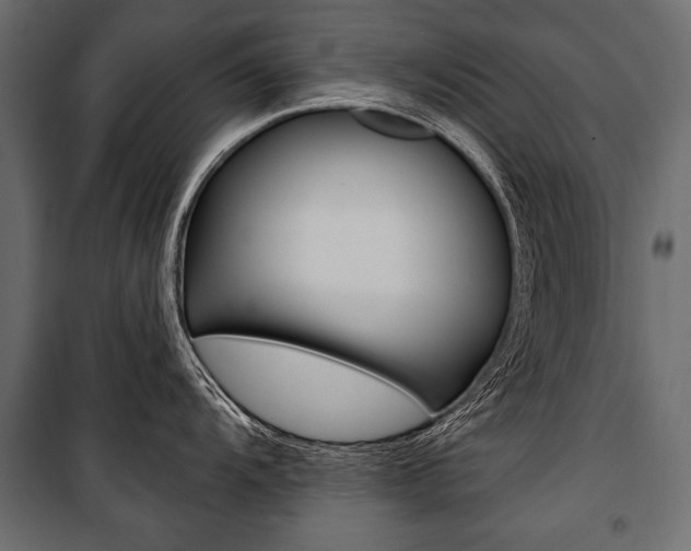 X0000100921104200806241107
