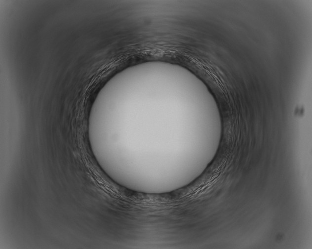 X0000100921105200806241106