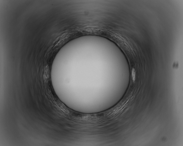 X0000100921107200806241107