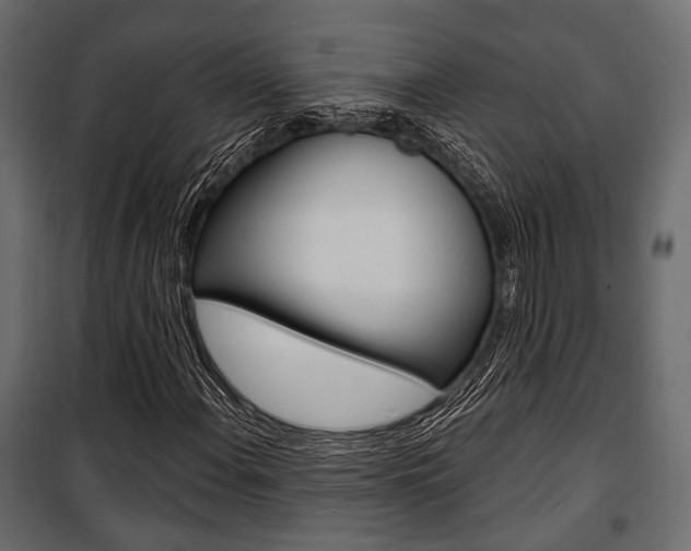 X0000100921108200806241107