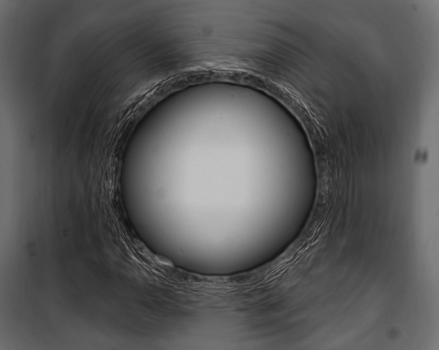 X0000100921110200806241107