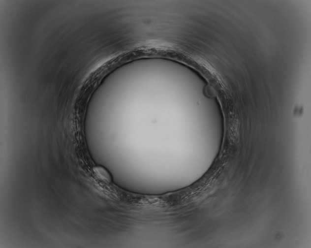 X0000100921112200806241107