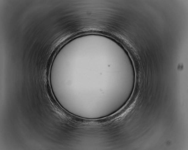 X0000100921113200806241107