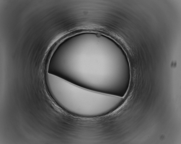 X0000100921114200806241107
