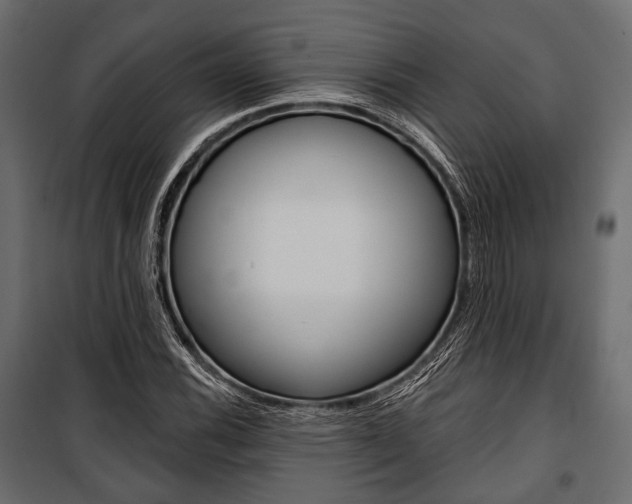 X0000100921116200806241107
