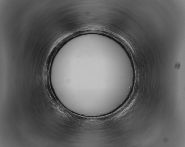 X0000100921117200806241107
