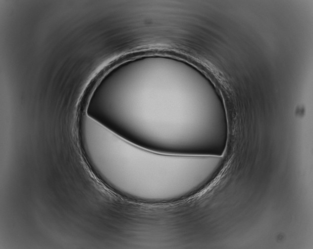 X0000100921118200806241107