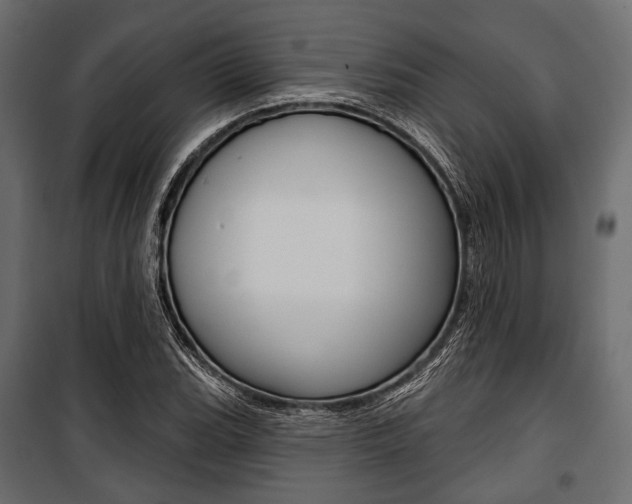 X0000100921119200806241107