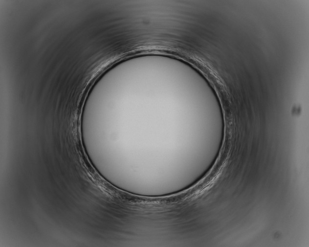 X0000100921121200806241107