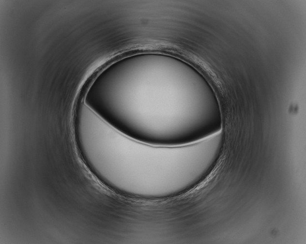 X0000100921122200806241107