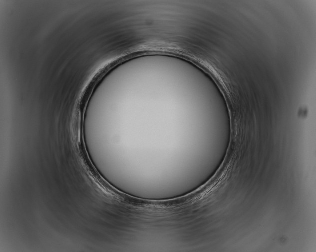 X0000100921123200806241107