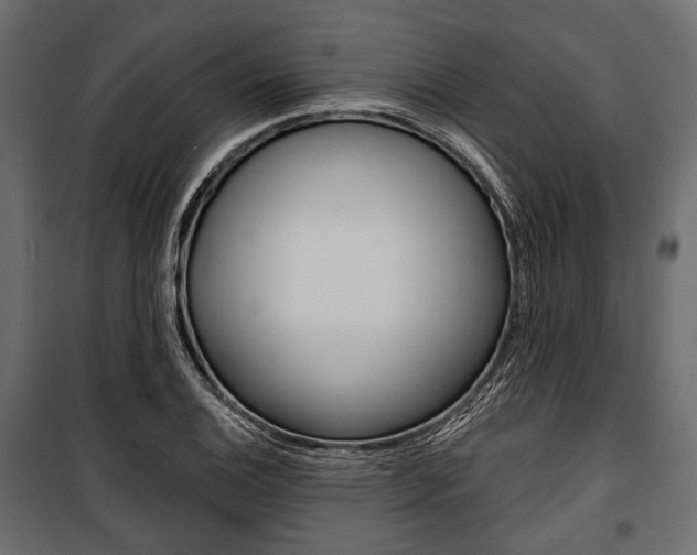 X0000100921124200806241107