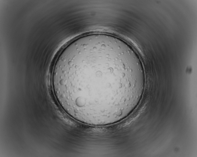 X0000100921125200806241107
