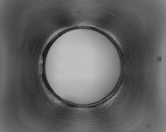 X0000100921126200806241107