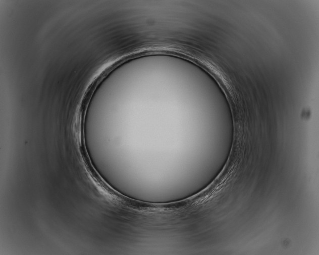 X0000100921127200806241107