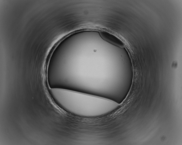 X0000100921128200806241107
