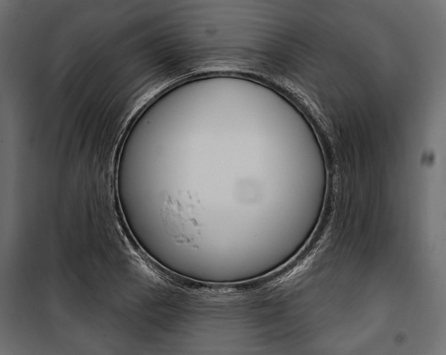 X0000100921129200806241107