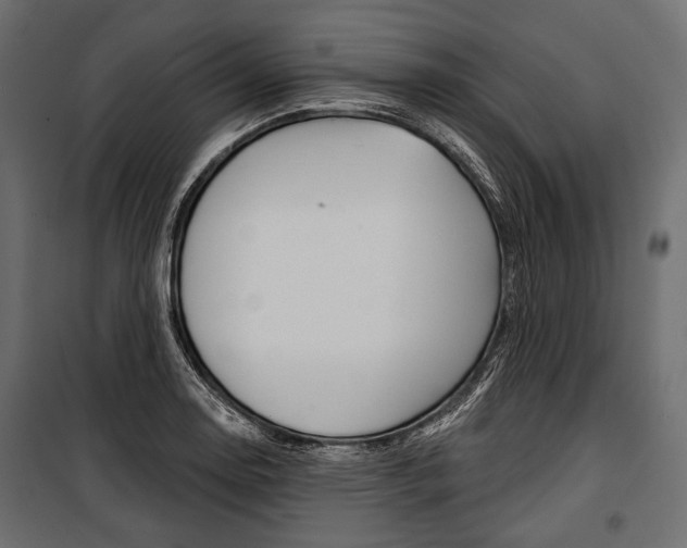 X0000100921130200806241107