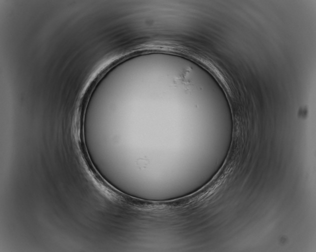X0000100921131200806241107