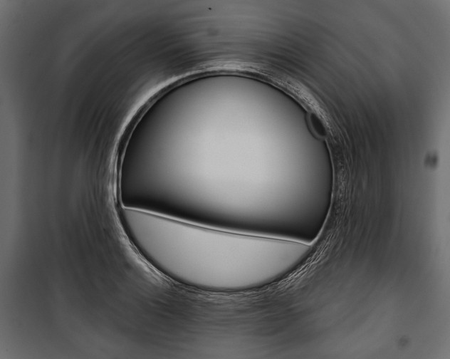 X0000100921132200806241107