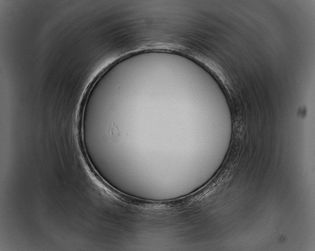 X0000100921135200806241107