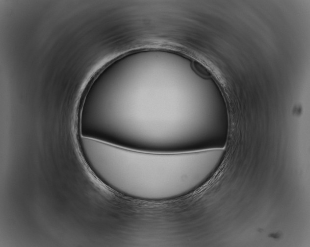 X0000100921136200806241107