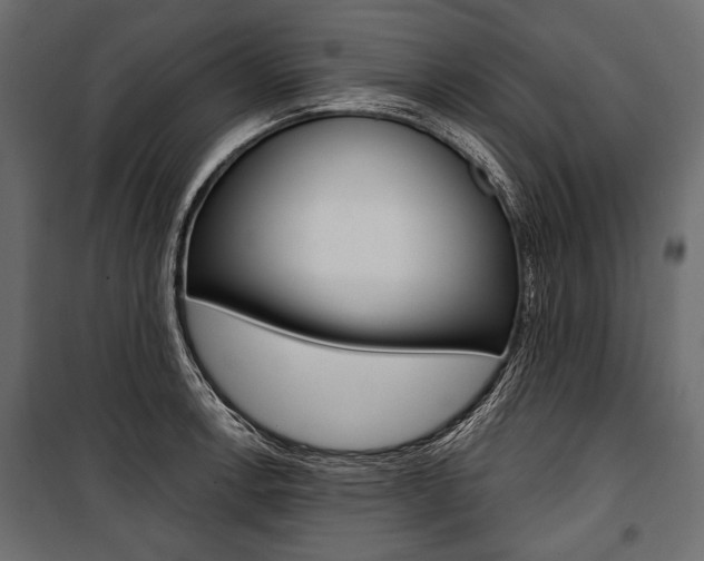 X0000100921138200806241107