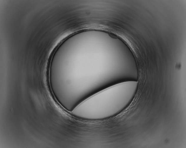 X0000100921139200806241107