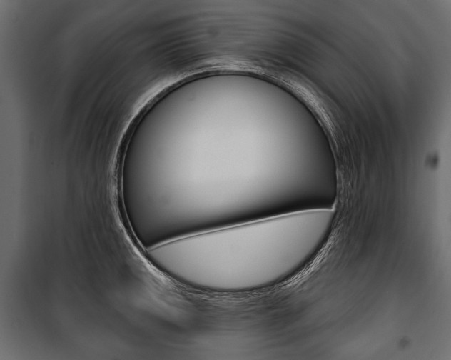 X0000100921141200806241107