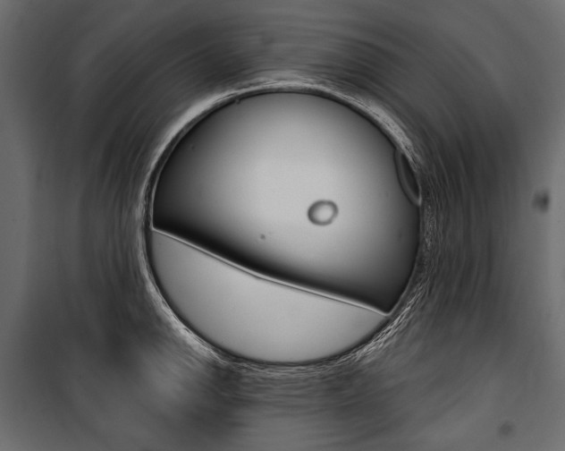 X0000100921142200806241107
