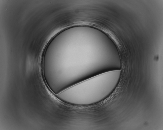 X0000100921143200806241107