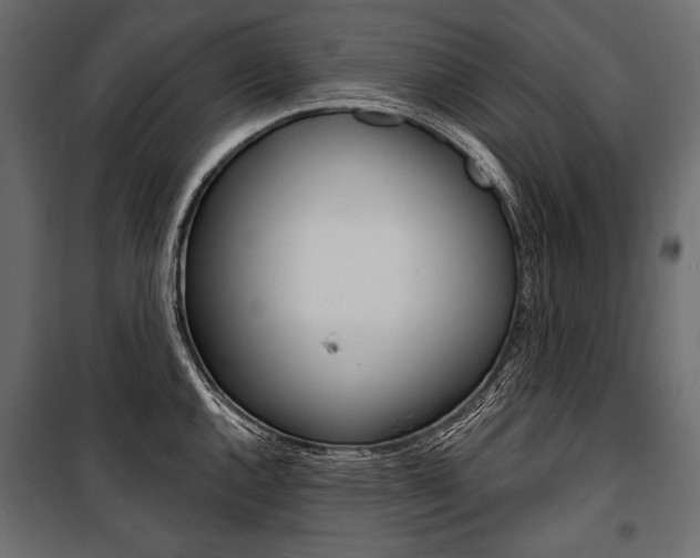 X0000100921144200806241107