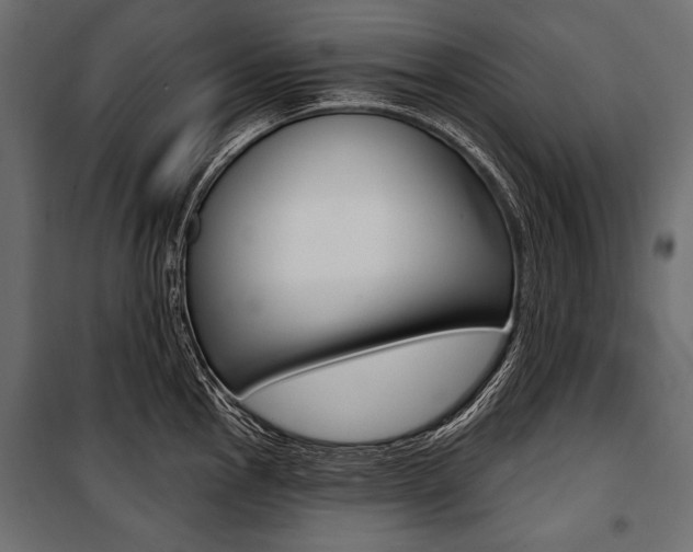 X0000100921145200806241107