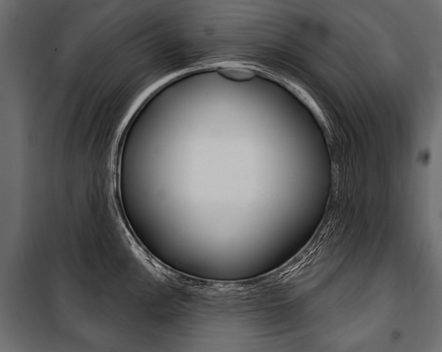 X0000100921148200806241107
