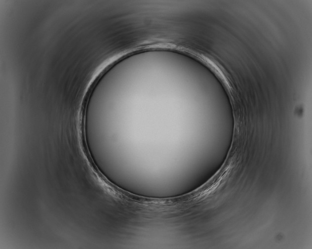 X0000100921149200806241107