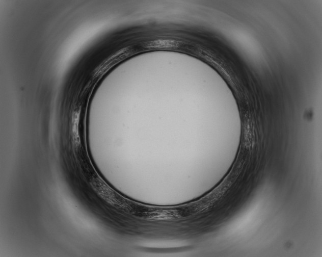 X0000100921150200806241107