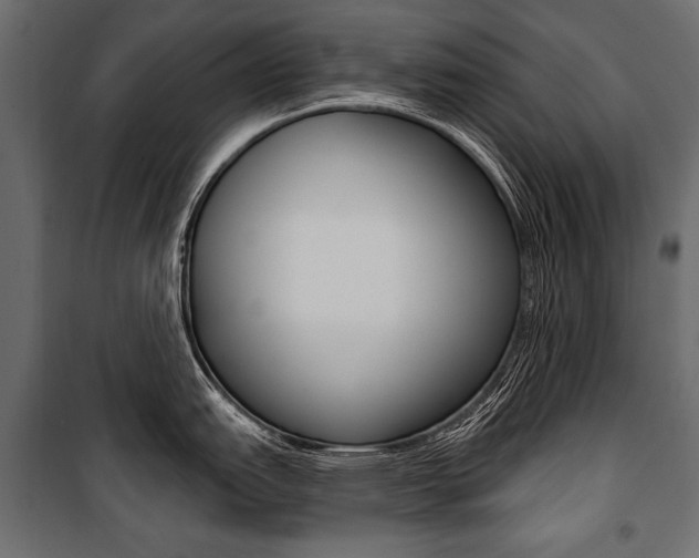 X0000100921151200806241107