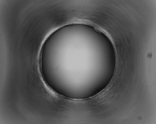 X0000100921152200806241107