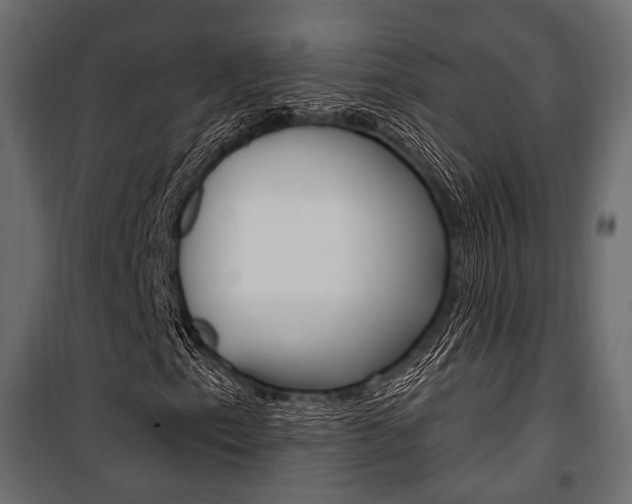 X0000100921153200806241106