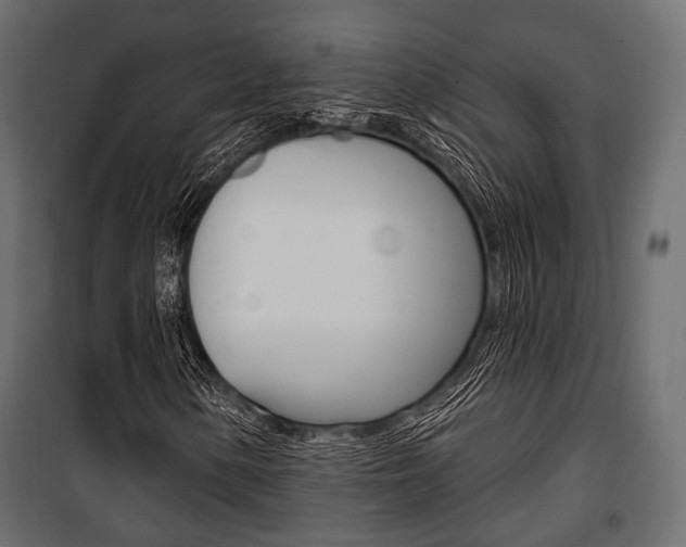 X0000100921154200806241106