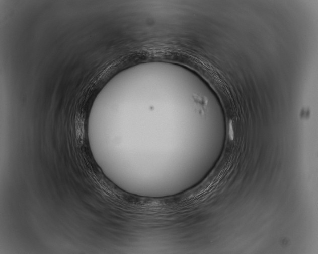 X0000100921155200806241106