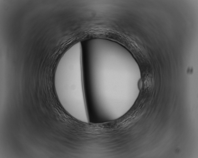 X0000100921156200806241106