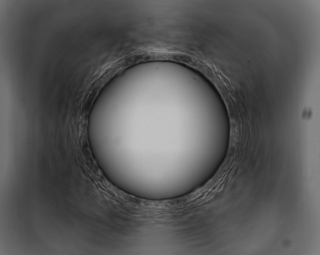 X0000100921157200806241106