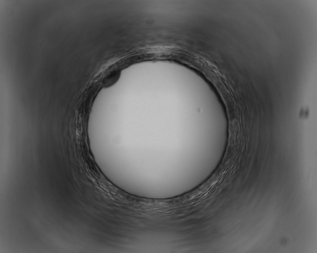 X0000100921158200806241106