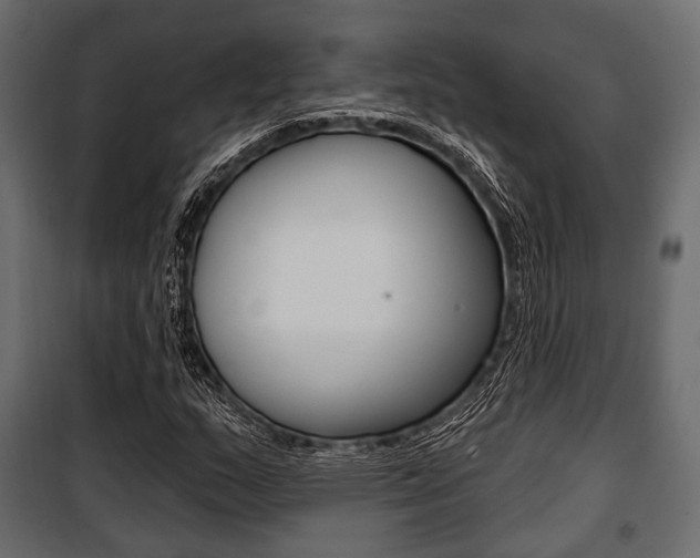 X0000100921159200806241106
