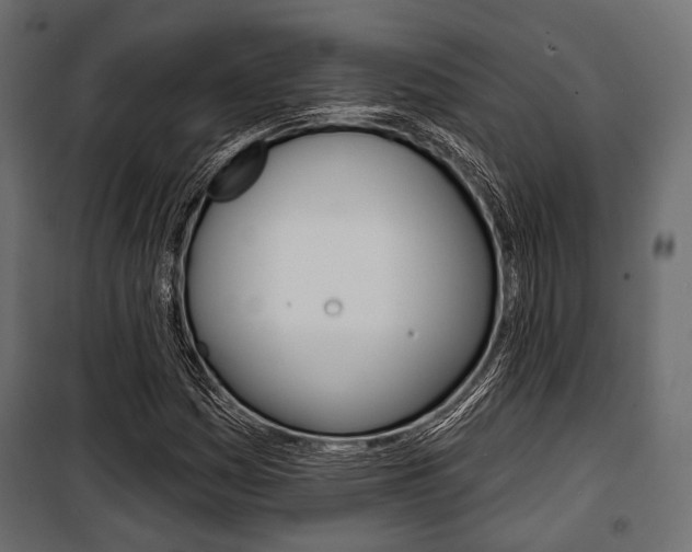 X0000100921161200806241106