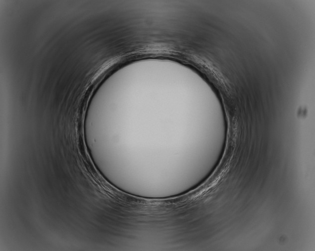 X0000100921162200806241106